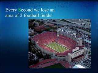 Every  S econd we lose an area of 2 football fields! 