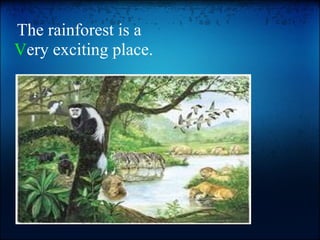   The rainforest is a  V ery exciting place. 