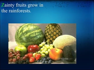 Z ainty fruits grow in the rainforests . 