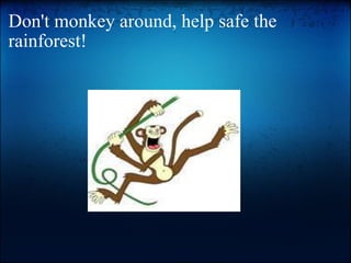 Don't monkey around, help safe the rainforest!   