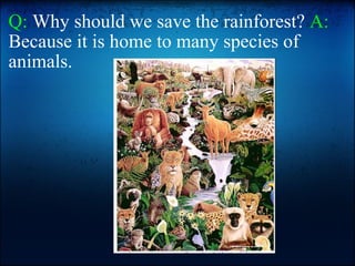 Q:  Why should we save the rainforest?  A:  Because it is home to many species of animals.    