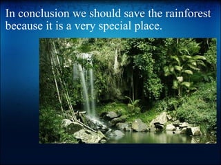 In conclusion we should save the rainforest because it is a very special place.   