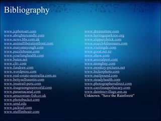 Bibliography www.jcphotoart.com                                       www.abrightercandle.com www.news.bbs.com.uk www.animalliberationfront.com www.maryannyough.com www.puzzlehouse.com www.yourlunghealth.com www.buten.net www.cltv.com www.fundraw.com www.wordpress.com www.real-estate-austrailia.com.au www.bettysellsaustin.com www.insatrail-peru.com www.itsagreengreenworld.com www.panamacanal.com www.amazonian-fish.co.uk www.photobucket.com www.umd.edu www.jacktail.com www.stuffintheair.com www.dreamstime.com www.heritageparkzoo.org www.slipperybrick.com www.search4dinosaurs.com www.visitingdc.com www.good.net.nz www.ehow.com www.animalport.com www.mongbay.com www.monkey-pictures.net www.hickerphoto.com www.mailpound.com www.steadyhealth.com www.photographersdirect.com www.carolinaapothecary.com www.daintreevillage.asn.au Unknown. "Save the Rainforest"       