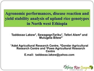 Agronomic performances, disease reaction and
yield stability analysis of upland rice genotypes
in North west Ethiopia
Taddesse Lakew1, SewagegnTariku1, Teferi Alem2 and
Mulugeta Bitew3
1Adet

Agricultural Research Centre, 2Gondar Agricultural
Research Centre and 3Pawe Agricultural Research
Centre
E.mail: taddesse.lakew@yahoo.com

 