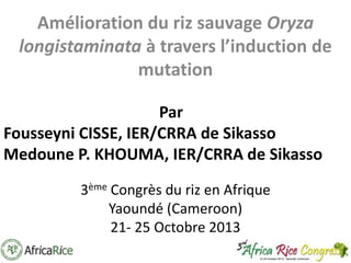 Amélioration du riz sauvage Oryza
longistaminata à travers l’induction de
mutation
Par
Fousseyni CISSE, IER/CRRA de Sikasso
Medoune P. KHOUMA, IER/CRRA de Sikasso
3ème Congrès du riz en Afrique
Yaoundé (Cameroon)
21- 25 Octobre 2013

 