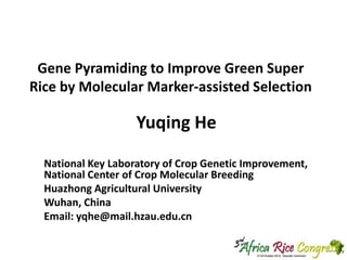 Gene Pyramiding to Improve Green Super
Rice by Molecular Marker-assisted Selection

Yuqing He
National Key Laboratory of Crop Genetic Improvement,
National Center of Crop Molecular Breeding
Huazhong Agricultural University
Wuhan, China
Email: yqhe@mail.hzau.edu.cn

 