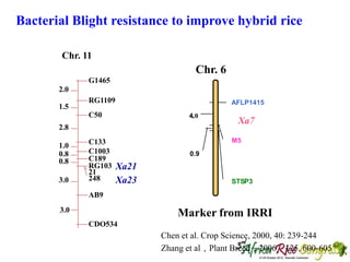 Th1_Gene Pyramiding to Improve Green Super Rice by Molecular Marker ...