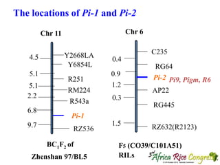 Th1_Gene Pyramiding to Improve Green Super Rice by Molecular Marker ...
