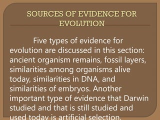 BIODIVERSITY:EVOLUTION | PDF