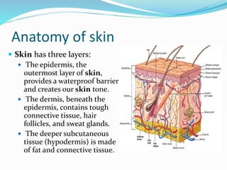 Anatomy of skin
 Skin has three layers:
 The epidermis, the
outermost layer of skin,
provides a waterproof barrier
and creates our skin tone.
 The dermis, beneath the
epidermis, contains tough
connective tissue, hair
follicles, and sweat glands.
 The deeper subcutaneous
tissue (hypodermis) is made
of fat and connective tissue.
 