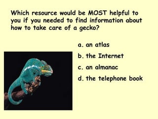 Which resource would be MOST helpful to you if you needed to find information about how to take care of a gecko? an atlas the Internet an almanac the telephone book 