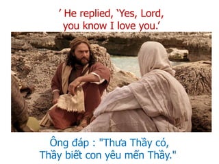 Ông đáp : "Thưa Thầy có,
Thầy biết con yêu mến Thầy."
’ He replied, ‘Yes, Lord,
you know I love you.’
 