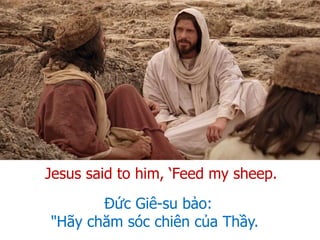 Đức Giê-su bảo:
"Hãy chăm sóc chiên của Thầy.
Jesus said to him, ‘Feed my sheep.
 