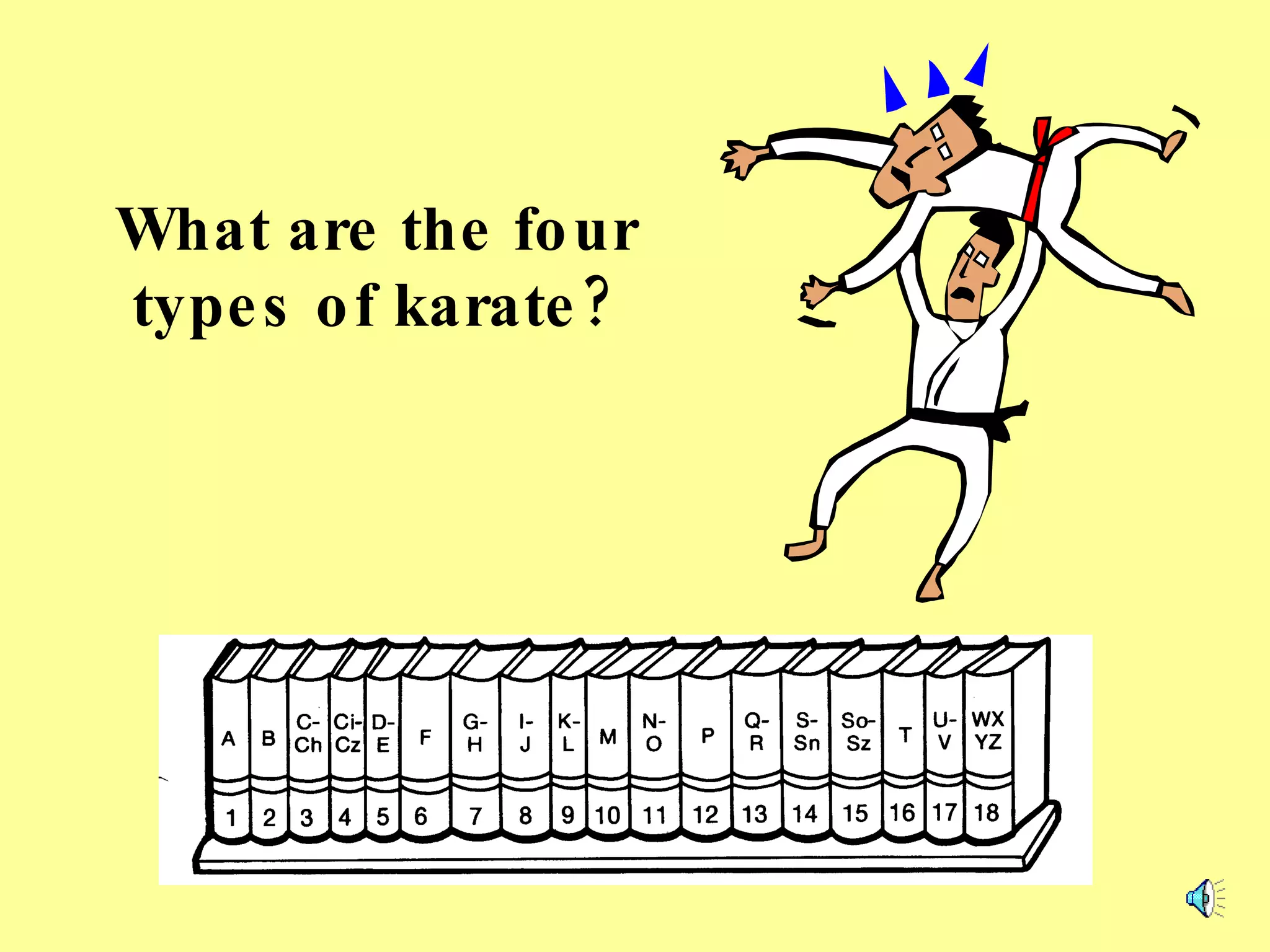 What are the four types of karate? 