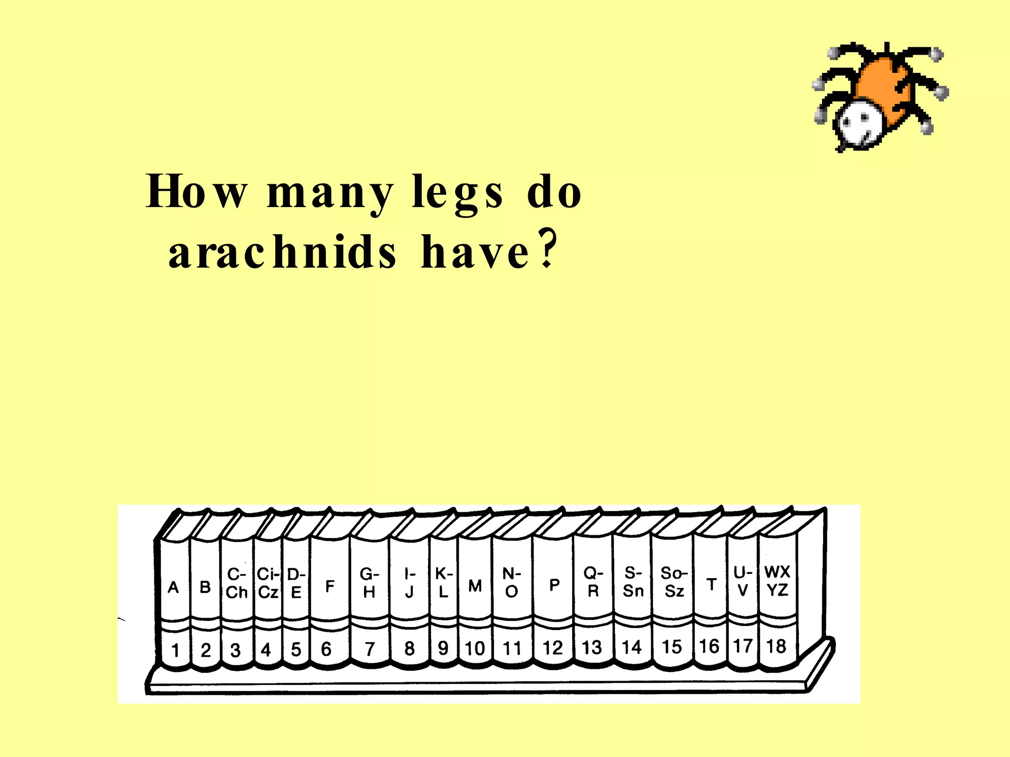 How many legs do arachnids have? 