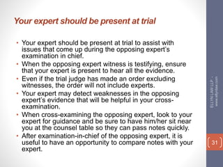 Cross-Examinagin Expert Witnesses in Business Litigation | PPTX