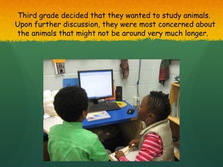 Third grade decided that they wanted to study animals.
Upon further discussion, they were most concerned about
the animals that might not be around very much longer.
 
