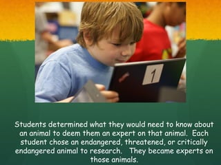 Students determined what they would need to know about
 an animal to deem them an expert on that animal. Each
 student chose an endangered, threatened, or critically
endangered animal to research. They became experts on
                     those animals.
 