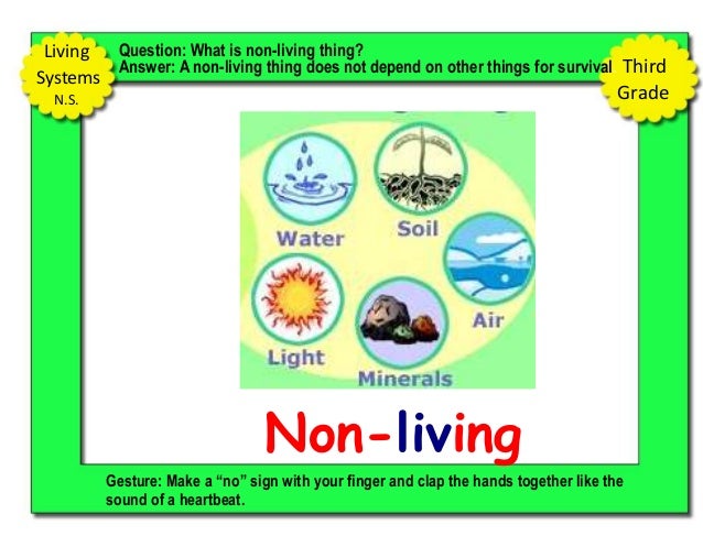 3rd grade Natural Science Power Pixs