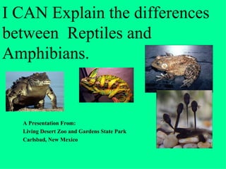 I CAN Explain the differences
between Reptiles and
Amphibians.


  A Presentation From:
  Living Desert Zoo and Gardens State Park
  Carlsbad, New Mexico
 