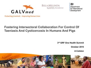 Fostering Intersectoral Collaboration For Control Of
Taeniasis And Cysticercosis In Humans And Pigs
3rd GRF One Health Summit
October 2015
A Colston
 