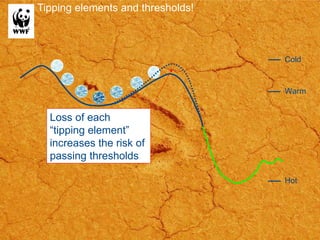 Tipping elements and thresholds! Cold Warm Hot Loss of each “tipping element” increases the risk of passing thresholds 