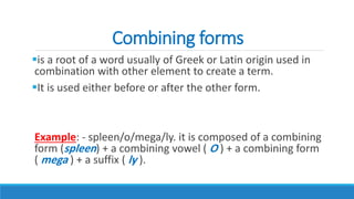 Root Combining Form 3rd Lect. Medical Affixes combining forms.pdf