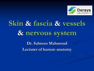 Skin & fascia & vessels
& nervous system
Dr. Sabreen Mahmoud
Lecturer of human anatomy
 