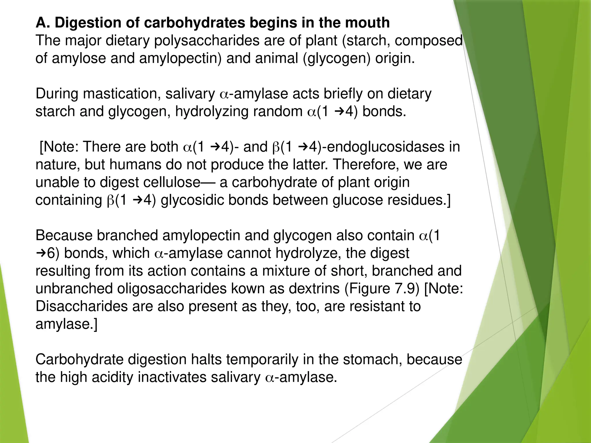 3rd lecture CARBOHYDRATES AND ITS CLASSIFICATION.pptx