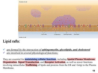 3rd lecture MBBS-2024-Membrane Structure and Function.pdf