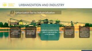 Urbanization and Economic Development: Planning Future City Economies ...