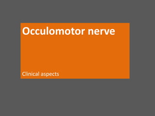Occulomotor nerve
Clinical aspects
 