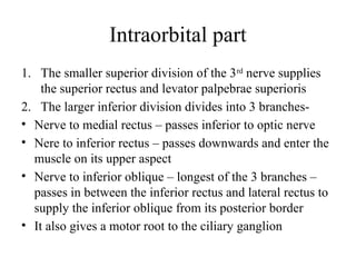 3rd nerve- oculomotor nerve and it's disorders.pptx