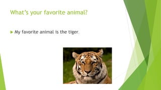 What’s your favorite animal? 
 My favorite animal is the tiger. 
 