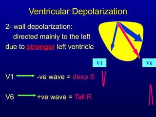 3rd part ECG Basics QRS complex Dr Salah Mabrouk Khallaf | PPT