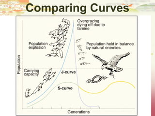 Comparing Curves
 