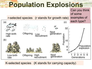 Population Explosions
r-selected species (r stands for growth rate)
K-selected species (K stands for carrying capacity)
Can you think
of some
examples of
each type?
 