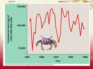 LE 52-19
1960
Year
Commercialcatch(kg)of
malecrabs(logscale)
730,000
100,000
10,000
1970 1980 19901950
 