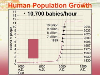 Human Population Growth
• 10,700 babies/hour
 