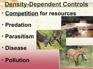 Density-Dependent Controls
• Competition for resources
• Predation
• Parasitism
• Disease
• Pollution
 