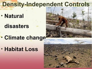Density-Independent Controls
• Natural
disasters
• Climate change
• Habitat Loss
 