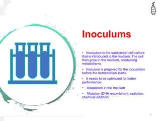 Inoculums
• Incoculum is the substance/ cell culture
that is introduced to the medium. The cell
then grow in the medium, conducting
metabolisms.
• Inoculum is prepared for the inoculation
before the fermentation starts.
• It needs to be optimized for better
performance:
• Adaptation in the medium
• Mutation (DNA recombinant, radiation,
chemical addition)
12
 