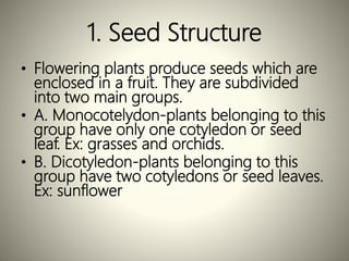 1. Seed Structure
• Flowering plants produce seeds which are
enclosed in a fruit. They are subdivided
into two main groups.
• A. Monocotelydon-plants belonging to this
group have only one cotyledon or seed
leaf. Ex: grasses and orchids.
• B. Dicotyledon-plants belonging to this
group have two cotyledons or seed leaves.
Ex: sunflower
 