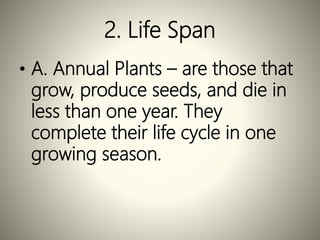 2. Life Span
• A. Annual Plants – are those that
grow, produce seeds, and die in
less than one year. They
complete their life cycle in one
growing season.
 