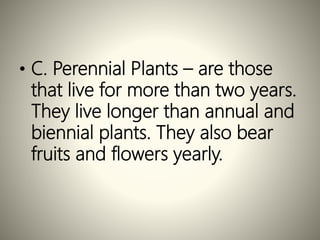 • C. Perennial Plants – are those
that live for more than two years.
They live longer than annual and
biennial plants. They also bear
fruits and flowers yearly.
 