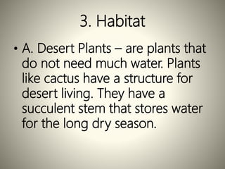 3. Habitat
• A. Desert Plants – are plants that
do not need much water. Plants
like cactus have a structure for
desert living. They have a
succulent stem that stores water
for the long dry season.
 