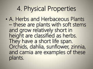 4. Physical Properties
• A. Herbs and Herbaceous Plants
– these are plants with soft stems
and grow relatively short in
height are classified as herbs.
They have a short life span.
Orchids, dahlia, sunflower, zinnia,
and camia are examples of these
plants.
 