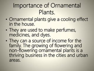 Importance of Ornamental
Plants.
• Ornamental plants give a cooling effect
in the house.
• They are used to make perfumes,
medicines, and dyes.
• They can a source of income for the
family. The growing of flowering and
non-flowering ornamental plants is a
thriving business in the cities and urban
areas.
 
