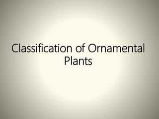 Classification of Ornamental
Plants
 