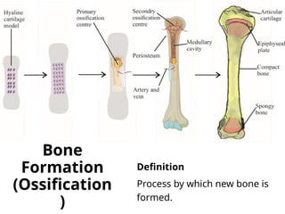 Sification Process Unit X — Nursing Management of Patients with Musculoskeletal Problems ...